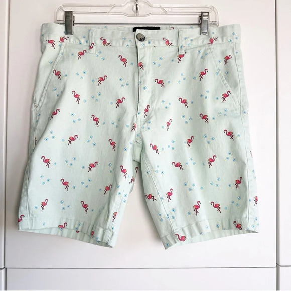 Raw Yarn Industries Mens Shorts Mint Green With Flamingos Size 34 Pockets Zip - Picture 1 of 4